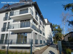Haus - Haus -