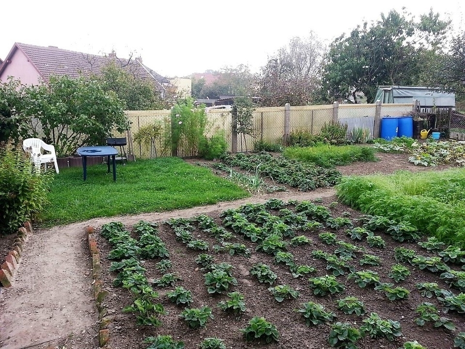 5 WE MFH Garten 5 WE MFH Garten